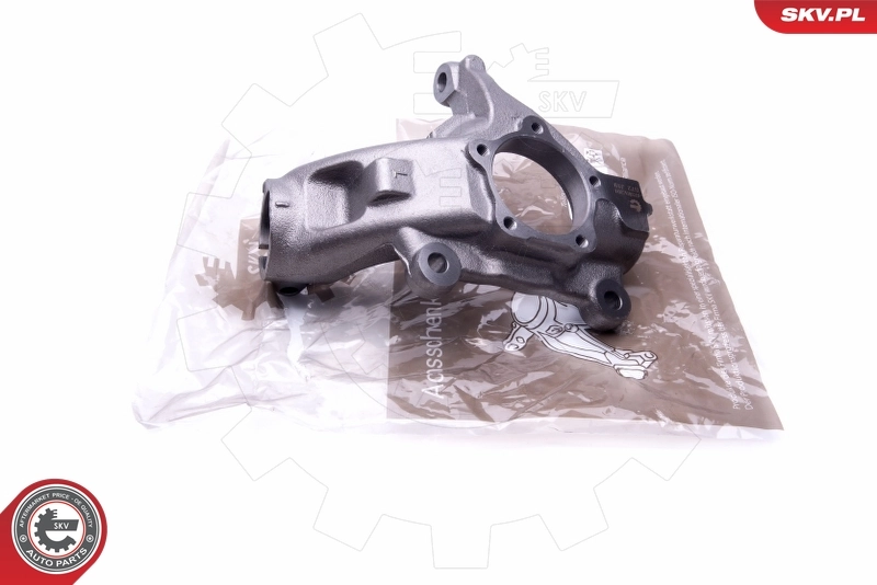 Steering Knuckle, wheel suspension